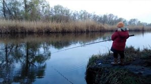 Рыбалка на Днепре у с. Разумовка ("солнечный окунь") \ Fishing on Dnieper River, fishing sun perch