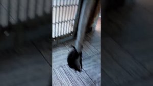 Ремонт оконного кондиционера