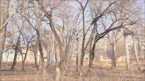 Разруха гарнизона Красный Кут в Приморском крае