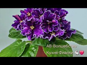 АВ-Волшебство. Коллекция Кухня Фиалки ❤️