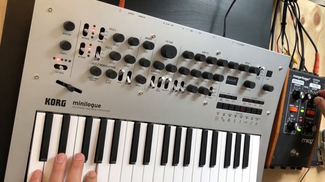 No. 6 Tinkering - Korg Minilogue and Moogerfooger MF-101 / LXP-1 Reverb смотреть онлайн