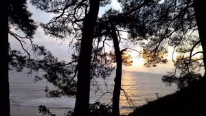 пляж в п. Агрия/с. Ольгинка/ "База Ольгинка"