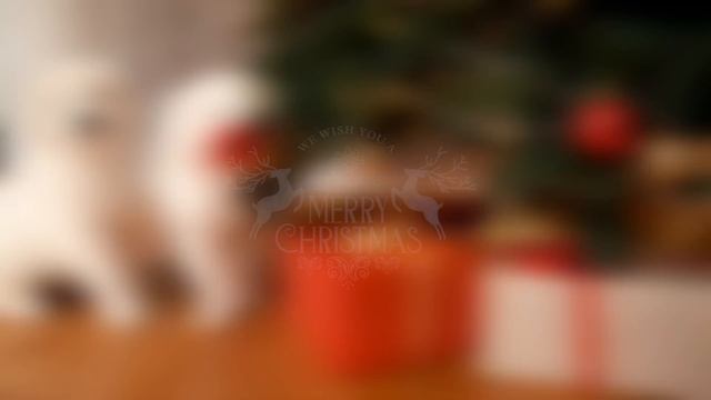 Relaxing Christmas Ambience 2024 ☃️Christmas Ambience, Relaxing Music, Heavenly Christmas Songs 202 смотреть онлайн