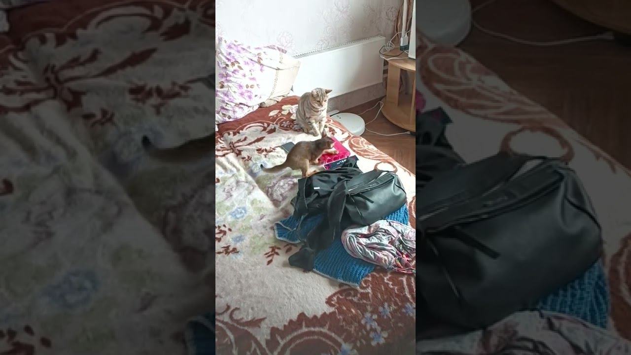 7 августа 2022 г. смотреть онлайн