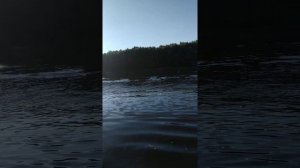 Лодка пвх Энерджи Energy 300 нднд под 2т мотором Тохатсу 9.8л.с., максимальная скорость