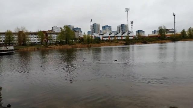 Мещерское озеро утромъ.  Теплоходъ на Волгѣ    (Лѣто ҂зфк҃ѳ. є҃. і҃.)