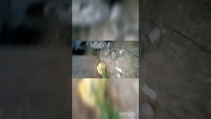 форд фокус 1 ремонт ходовой.