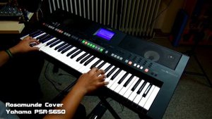 Rosamunde / Beer Barrel Polka - Yamaha PSR-s650
