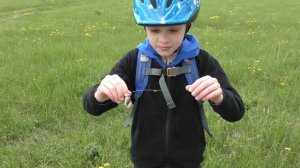 Да, Мартин, да! Это Дон. DaMartinDa! This is Don!