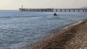 Можно ли купаться в октябре? Вот ответ. Лазаревское, Сочи 2013