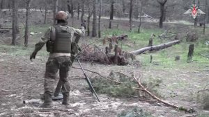 Расчет 82-мм миномета «Поднос» уничтожил опорный пункт ВСУ на правом берегу Днепра.