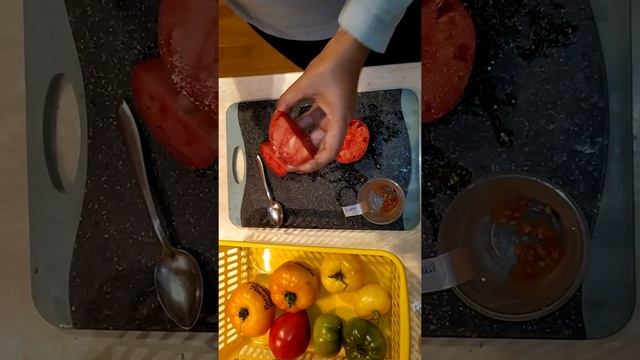 Томат Японка (дегустация + разрез) 2020 смотреть онлайн