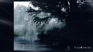 Mehrab - Alveda | Slowed and Reverb (lyrics) Full