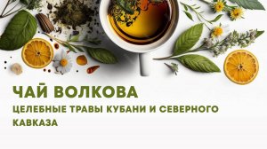 Травяной чай Волкова с целебными травами Кубани и Северного Кавказа