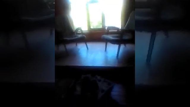 Что за хрень? Камаз? окала дачи? смотреть онлайн