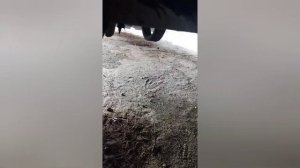 Воскресное ТО, замена пневмо подушки на полуприцепе KRONE SDP27 ,7 февраля 2022 г. Вольво ВНЛ д12д