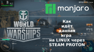 World of warships - как идёт игра в steam через steam proton на Manjaro linux