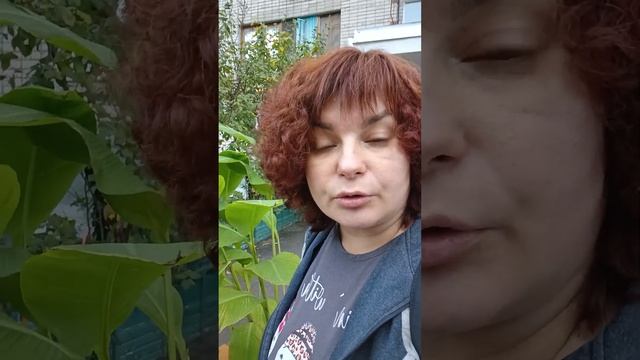 Уважаемые наши туристы. О нас для Вас, пишите в месенджеры +79324774560 смотреть онлайн