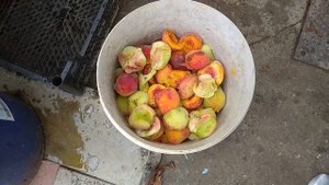 Рецепт браги из персиков!