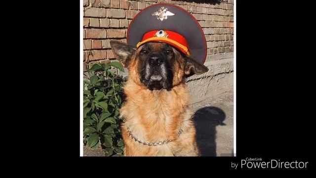 Слайд шоу песня Ко мне Мухтар смотреть онлайн