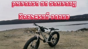 рыбалка на камбалу на Кольском заливе.