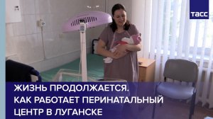 Жизнь продолжается. Как работает перинатальный центр в Луганске
