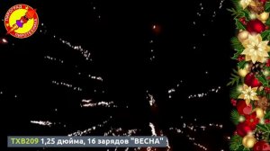 16 залпов ВЕСНА