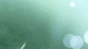 подводная охота ПРОГУЛКА ПО ОЗЕРУ