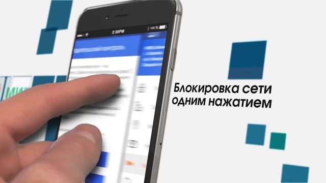 Мобильное приложение «ИНСИТ» смотреть онлайн