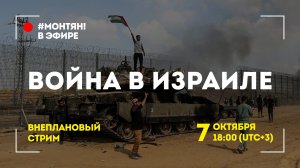 #МОНТЯН В ЭФИРЕ: Черный лебедь в Земле обетованной ?