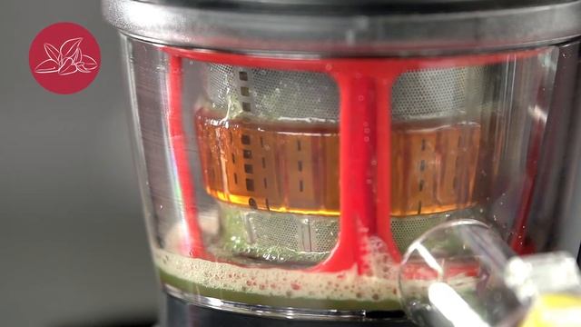 HKOENIG GSX12 estrattore di succo verticale a processo lento смотреть онлайн