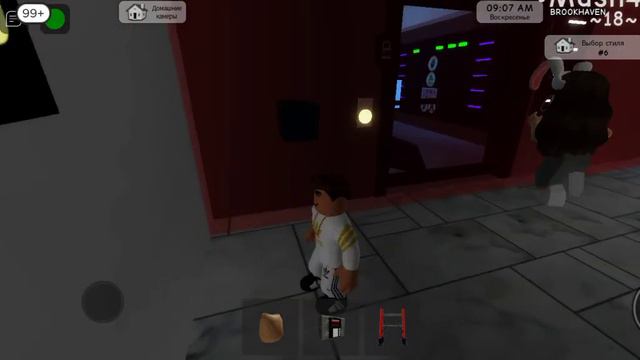 грабим дома с моим братом в брукхевен смотреть онлайн