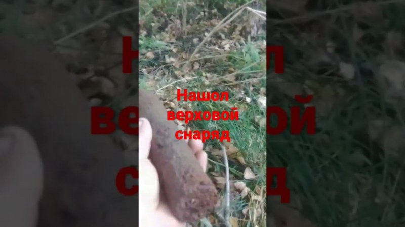 нашел верховой снаряд