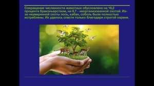 ВСЕМИРНЫЙ ДЕНЬ ЗАЩИТЫ ОКРУЖАЮЩЕЙ СРЕДЫ