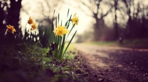 ?РАССЛАБЛЯЮЩАЯ МУЗЫКА ДЛЯ НЕРВОВ? ЛЕЧЕБНАЯ МУЗЫКА ДЛЯ СЕРДЦА И СОСУДОВ.?