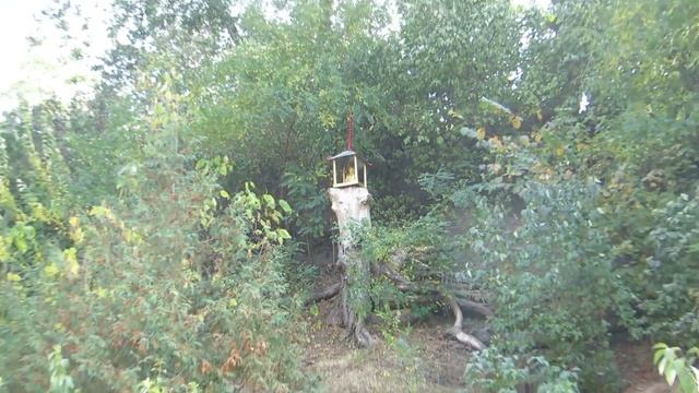 #ВЛОГ #ЗАМОК #БУДДА #Vlog #CASTLE # Buddha /CASTILLO / Buda смотреть онлайн