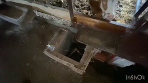 Поилка для КРС