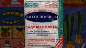Создание цветочного сада. Выращивание цветов в своем райском саду.Сохранение цветов зимой