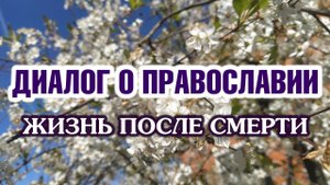 «Диалог о православии» от 15.05.2024 (Жизнь после смерти)