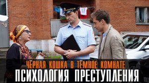 Психология преступления 1-2 серии Черная кошка в темной комнате (2023) Мелодрама Детектив