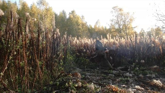 Металлопоиск в заброшенной деревне и на делянке 60-х годов #355