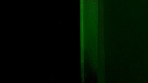 Лизка писка