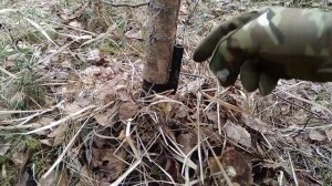 Растяжка на основе Сигнала Охотника