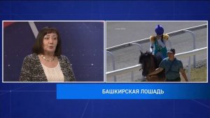 Башкирские лошади