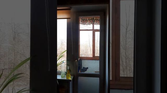 Обзор 4к квартиры смотреть онлайн