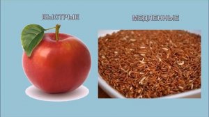 УГЛЕВОДЫ  БЫСТРЫЕ ИЛИ МЕДЛЕННЫЕ?