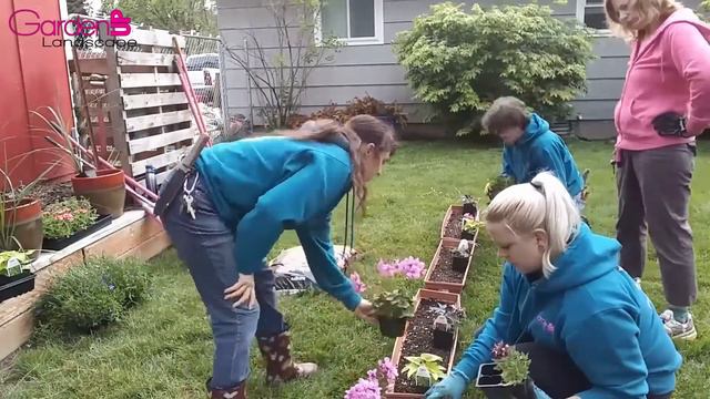 Annual Planting Training! How to plan your pots and how to plant annuals! смотреть онлайн