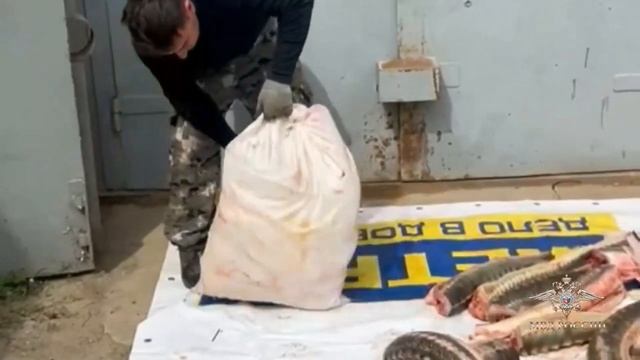 Ирина Волк: В Астраханской области сотрудники правоохранительных органов задержали браконьеров