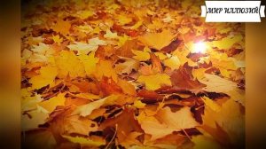 ? Истории из жизни. Когда зэки пытались унизить парня из детского дома... Они даже не догадывались