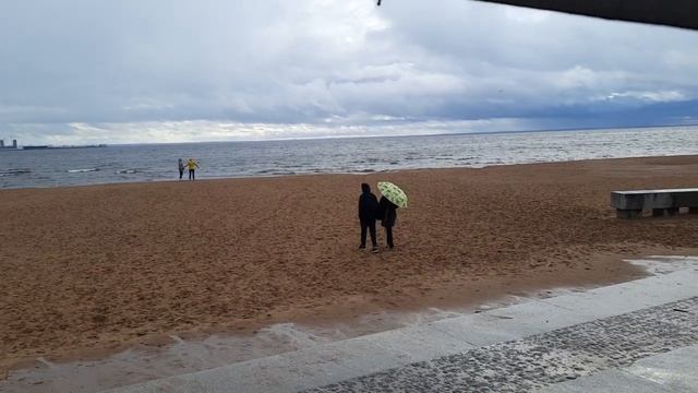 Финский Залив